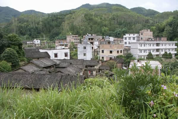 鼠标指向看大图