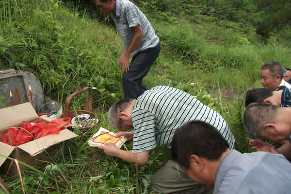 鼠标指向看大图