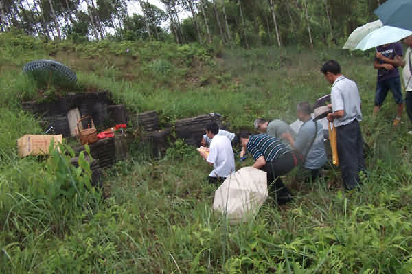 鼠标指向看大图
