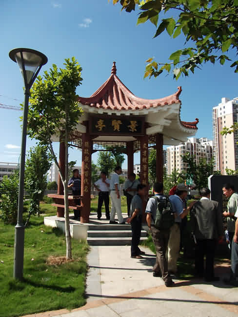 鼠标指向看大图