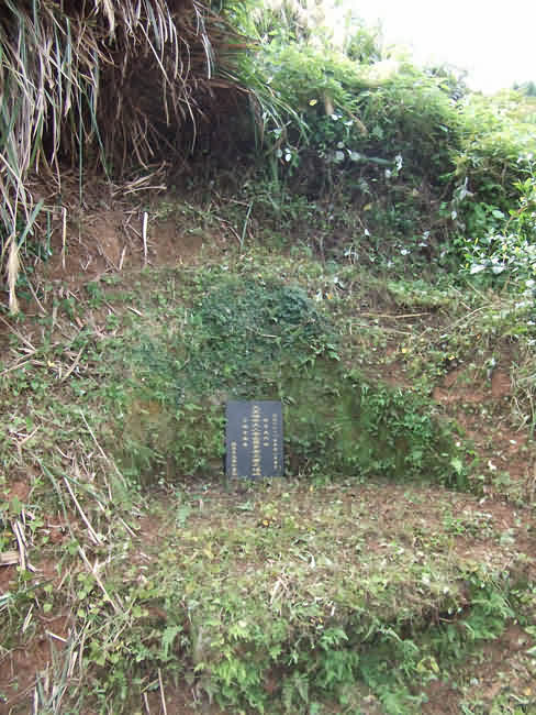 鼠标指向看大图