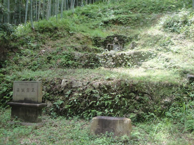 鼠标指向看大图