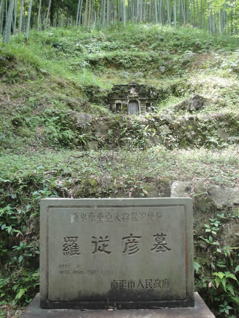 鼠标指向看大图