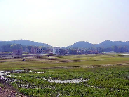 鼠标指向看大图