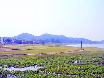 鼠标指向看大图