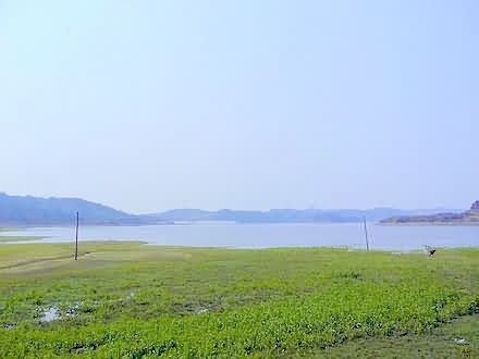 鼠标指向看大图