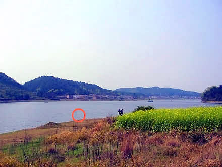 鼠标指向看大图