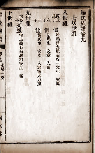 鼠标指向放大图片